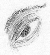 eyeBig.gif (26807 bytes)