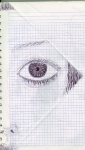 scan1s.jpg (8849 bytes)