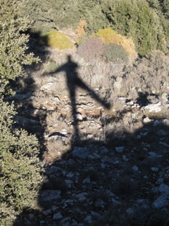 My shadow - 5