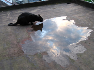 Tasting the sky - 8