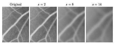 \begin{figure}\begin{center}
\begin{picture}(220,100)
\par\put(-110,-72){\specia...
...{Original}
\par % ponrejilla\{220\}\{100\}
\end{picture}\end{center}\end{figure}