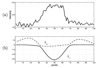 \begin{figure}\begin{center}
\begin{picture}(220,160)
\put(-30,-80){\special{psf...
...t(-20,120){(a)}
% ponrejilla\{220\}\{160\}
\end{picture}\end{center}\end{figure}