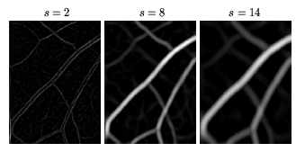 \begin{figure}\begin{center}
\begin{picture}(220,100)
\par\put(-67,-72){\special...
...02){$s=2$}
\par % ponrejilla\{220\}\{100\}
\end{picture}\end{center}\end{figure}