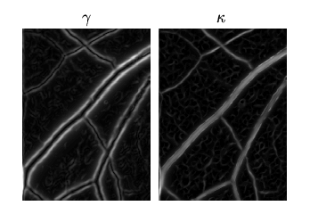 \begin{figure}\begin{center}
\begin{picture}(220,100)
\par\put(-25,-72){\special...
...amma$}
\par % ponrejilla\{220\}\{100\}
\end{picture}\end{center}\par\end{figure}