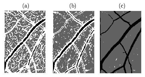 \begin{figure}\begin{center}
\begin{picture}(220,100)
\par\put(-67,-75){\special...
...){(a)}
\par % ponrejilla\{220\}\{100\}
\end{picture}\par\end{center}\end{figure}